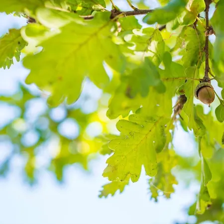 La Magnanella - Luxury Отель типа 